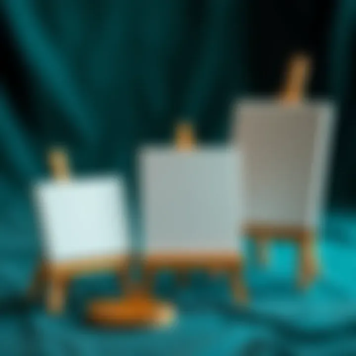 Different canvas sizes complementing easels