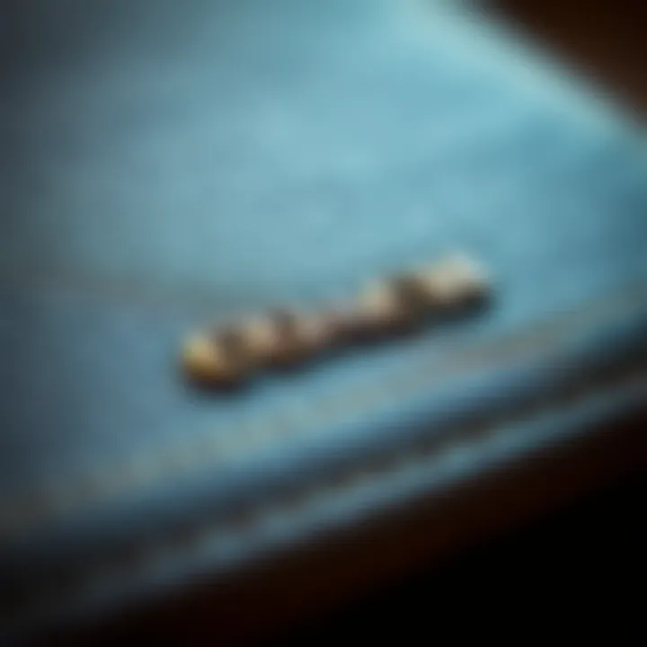 Close-up of materials used in the Coach crossbody wallet purse highlighting quality.