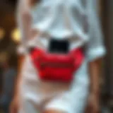 Elegant design of a cell phone waist pack