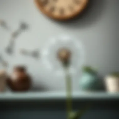 Artistic Application of Dandelion Vinyl Decal Artistic application of dandelion vinyl decal on a decorative surface