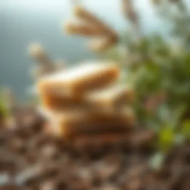 Eco-friendly soap sheets on a natural background