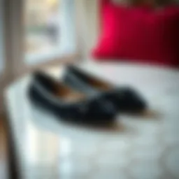 Elegant black velvet flats displayed on a stylish surface