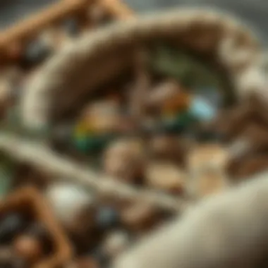 Nature-Inspired Aesthetics Boho reading glasses surrounded by natural materials