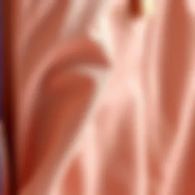 Close-up of fabric texture showcasing the comfort and quality of plus size rompers