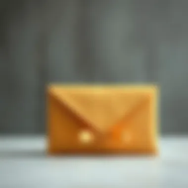 Stylish designs of padded mailing envelopes