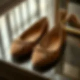 Elegant faux suede ballet flats on a stylish surface