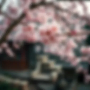 Cultural significance of cherry blossoms in art