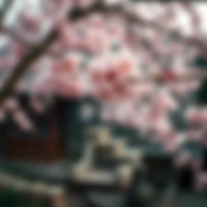 Cultural significance of cherry blossoms in art