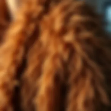 Close-up of the luxurious texture of faux fur fabric