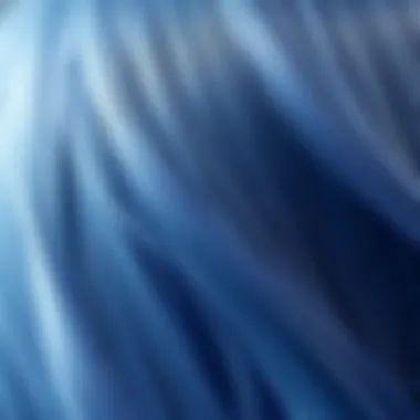 Texture and Color of the 613 28 Inch Wig Close-up of a 613 28 inch wig showcasing its texture and color