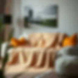 Elegant picture blanket displayed on a stylish sofa