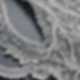 Close-up view of intricate lace tape against fabric