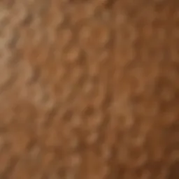 Artistic arrangement of small wooden circles showcasing unique grain patterns