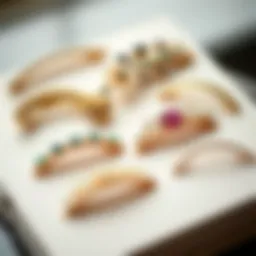 Elegant arrangement of various French concord curved hair clips showcasing unique designs