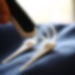 A close-up of a lint brush removing pet hair from a fabric surface