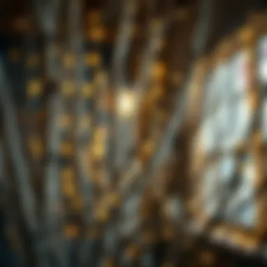 Birch branches in a festive setting with soft lighting