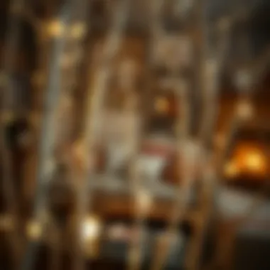 Creative home decor featuring birch branches with lights