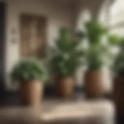 Elegant large wicker planter basket showcasing a variety of indoor plants.