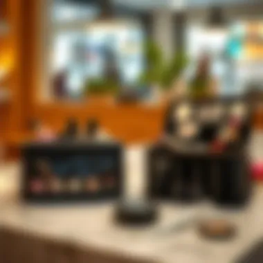 Travel-Sized vs Large Makeup Organizers A comparison of travel-sized makeup bags and large organizers