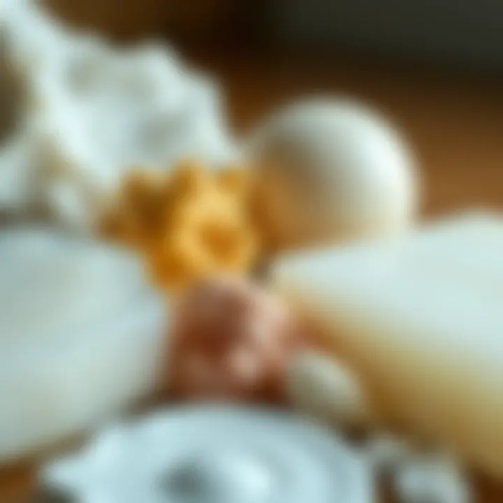 Close-up view of different materials used for molds