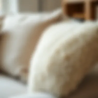 Close-up of the texture and fabric of a plush sofa cover