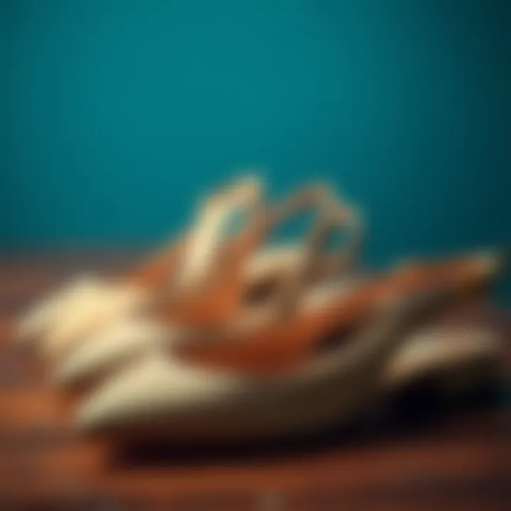 Historical evolution of slingback flats from vintage to modern designs