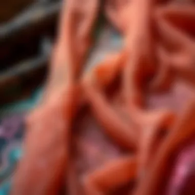 An intricate design layout of various textiles featuring glitter veils