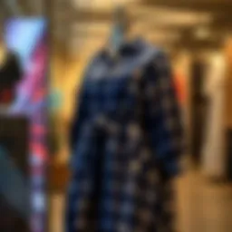 Chic Plus Size Blue Plaid Dress on Display