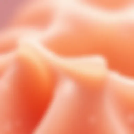 Luxurious silicone lip scrub texture