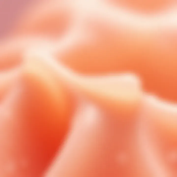 Luxurious silicone lip scrub texture