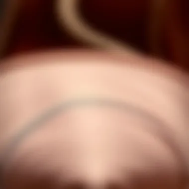 Close-up of intricate satin texture and finish