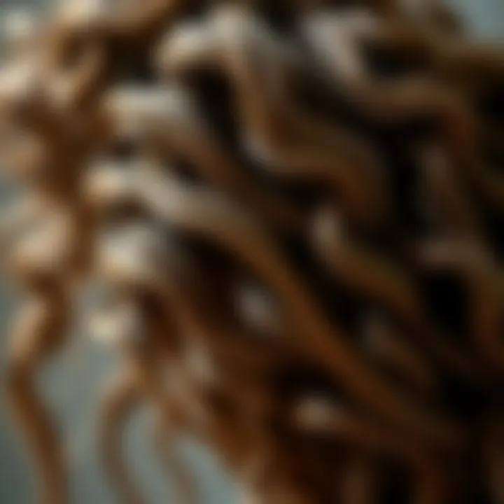 Exploring Varied Hair Textures Diverse textures of hair strands