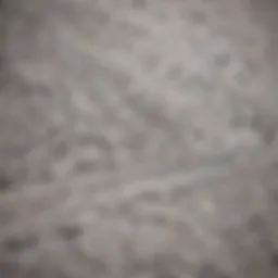 A close-up view of stretch lace elastic showcasing intricate patterns