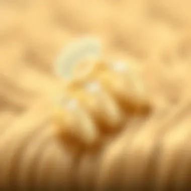 A close-up of a vintage plastic hair claw, highlighting its historical significance and design features.