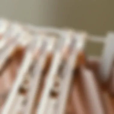 Close-up of clear clothespins highlighting their design and functionality.