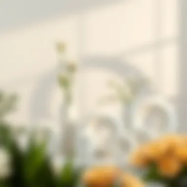 Artistic Arrangement of White Donut Vases Artistic arrangement of white donut vases in various sizes