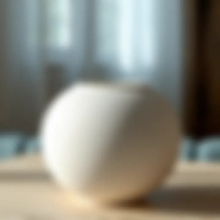 Texture and Material of the White Donut Vase Close-up view highlighting the texture and material of the vase