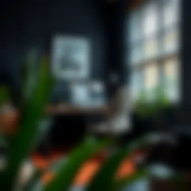 Aesthetic appeal of a well-decorated workspace with rug protectors