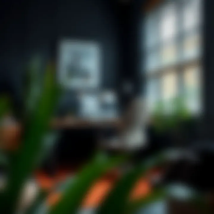 Aesthetic appeal of a well-decorated workspace with rug protectors