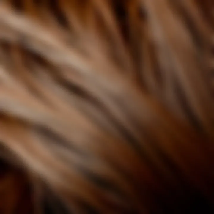 Quality and Texture of Brown Wig Materials Close-up of wig fibers showcasing quality and texture