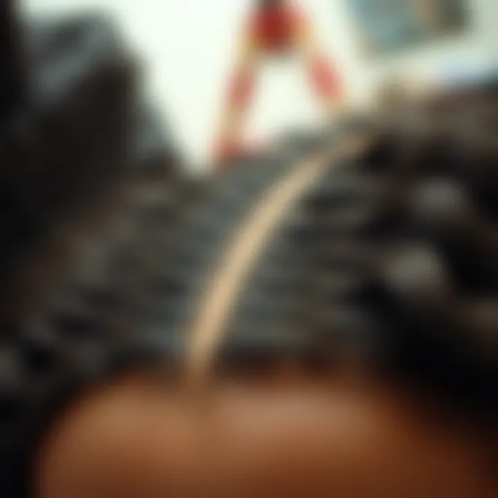 Craftsmanship in Nappy Wig Construction Close-up view demonstrating the intricate construction of nappy wigs