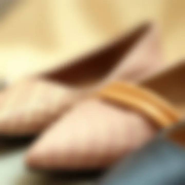 Luxurious Materials of Pointed Flats Close-up of luxurious materials used in pointed flats